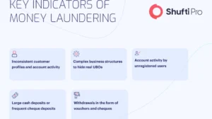 Detecting Money Laundering: The Five Critical Risk Indicators Explained