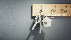 Money Laundering in Property Markets