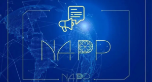 NAPP Proposes Tougher Fines for Unlicensed Foreign Crypto Service Providers