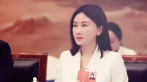 Qiya Feng and the Global Veil of Offshore Financial Secrecy