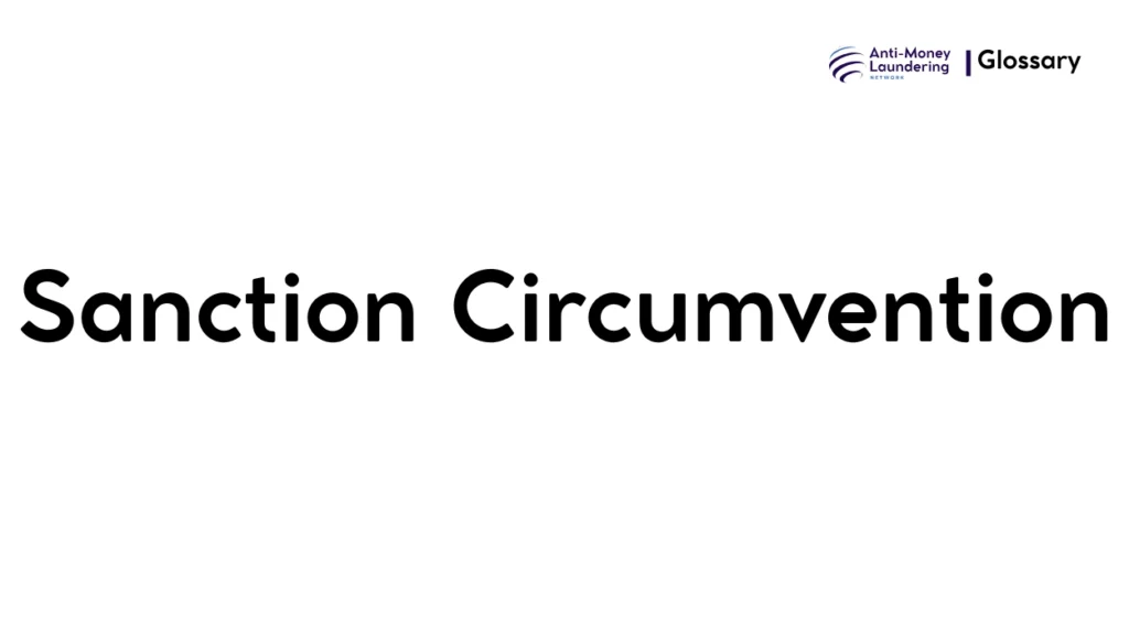 Sanction Circumvention