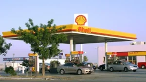 Shell Company