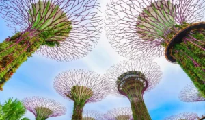 Singapore Intensifies AML Enforcement Following S$3 Billion Money Laundering Scandal Exposure