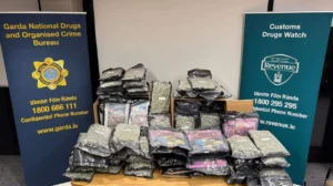 Two men to face court over €1m cannabis seizure
