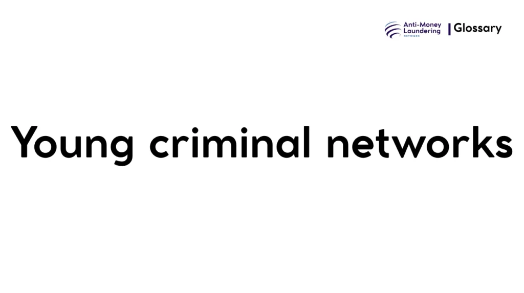 Young criminal networks